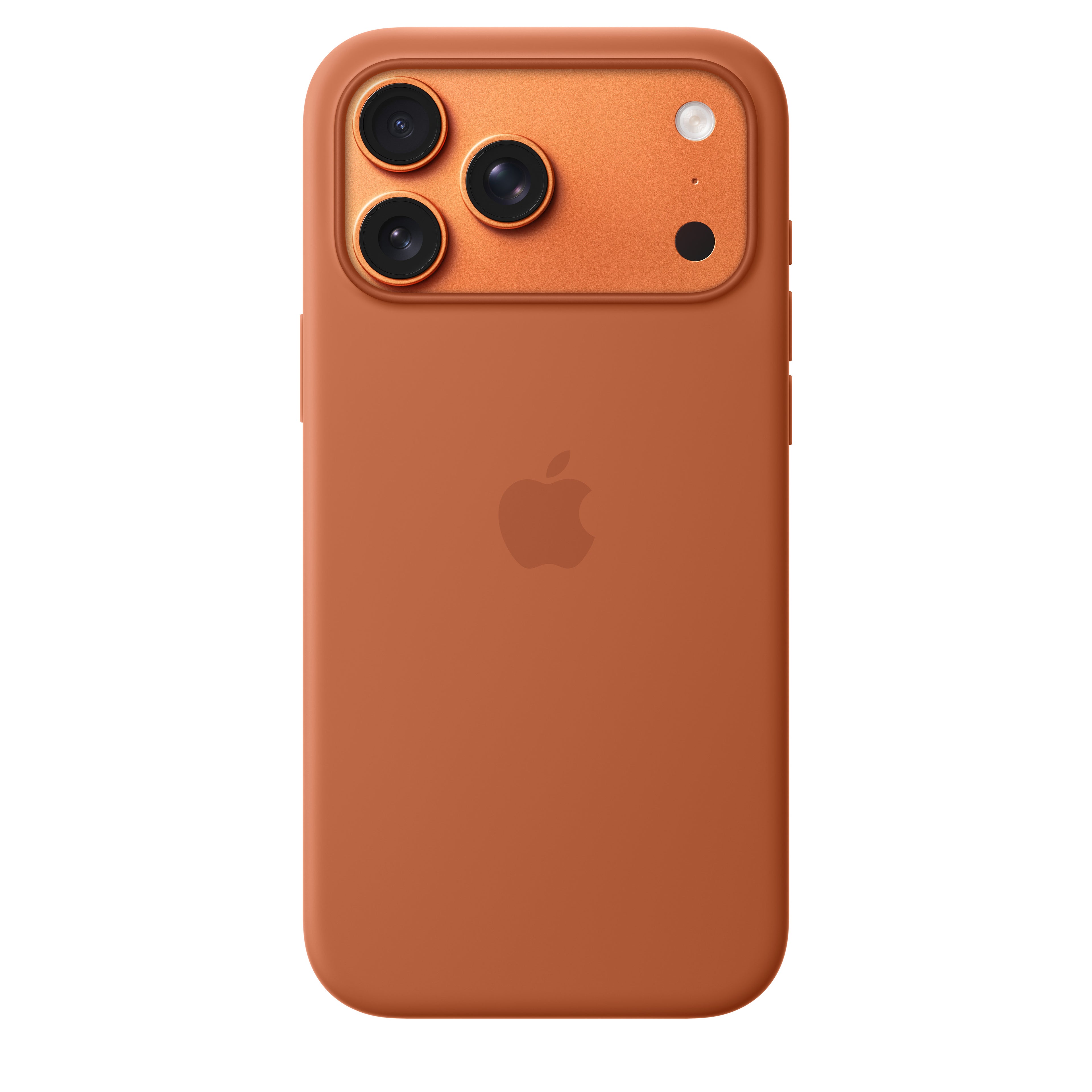 iPhone 17 pro max 256GB unlocked
